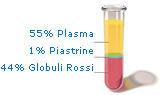 La composizione del sangue